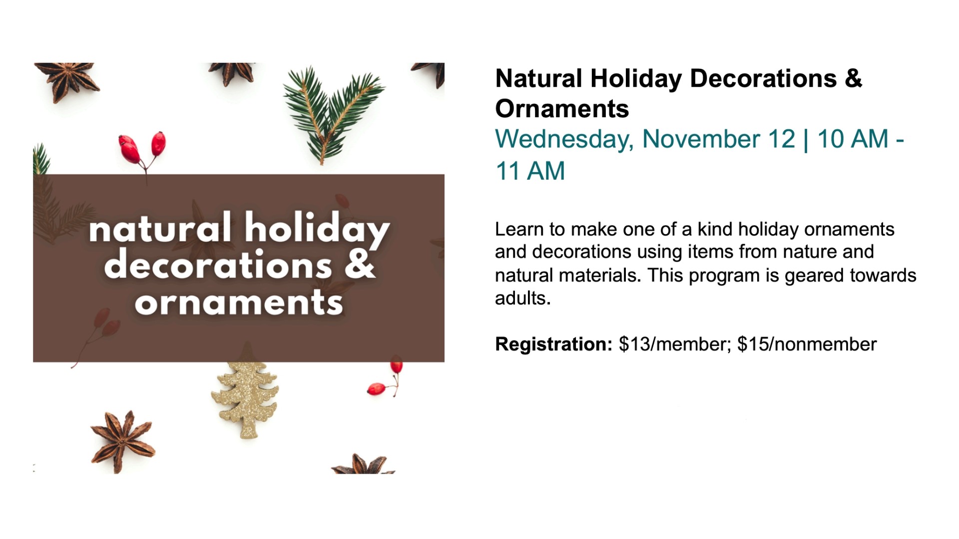 Natural Holiday Decoractions & Ornaments